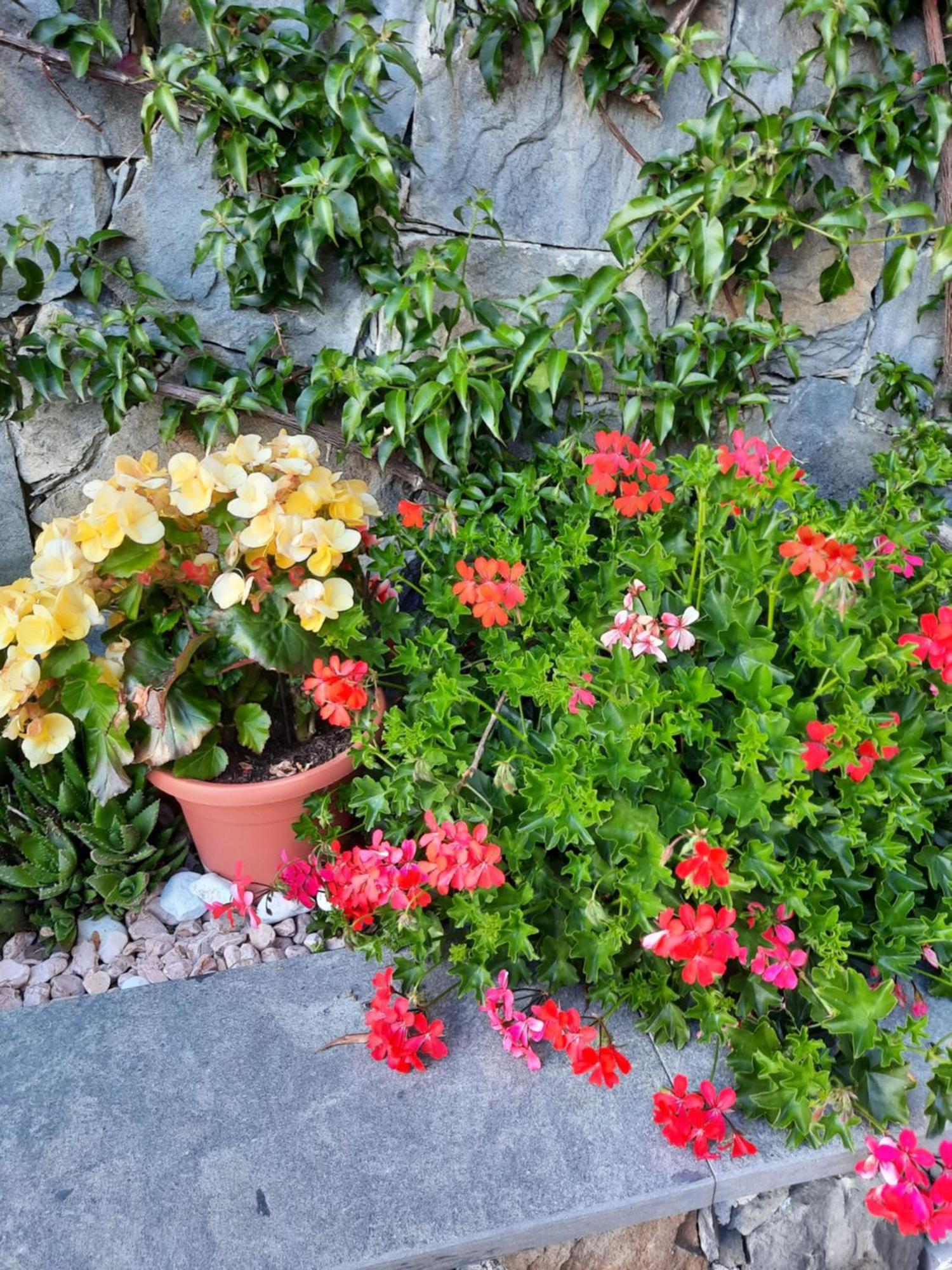 B&B Vignola Levanto Exteriér fotografie