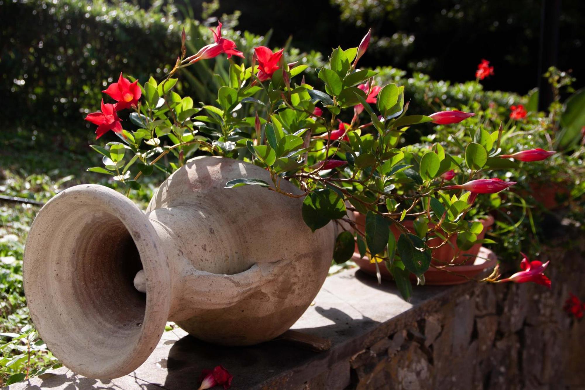 B&B Vignola Levanto Exteriér fotografie