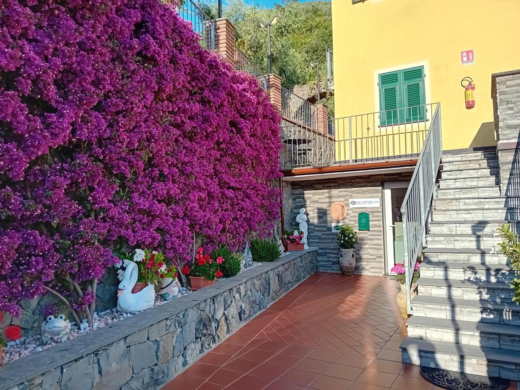 B&B Vignola Levanto Exteriér fotografie